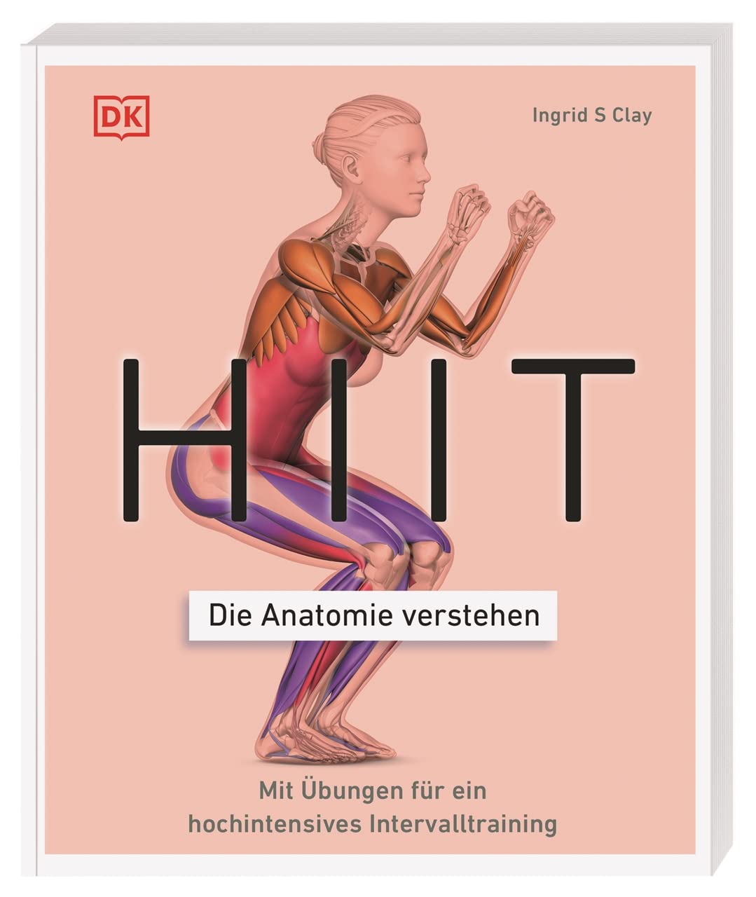 HIIT Anatomie