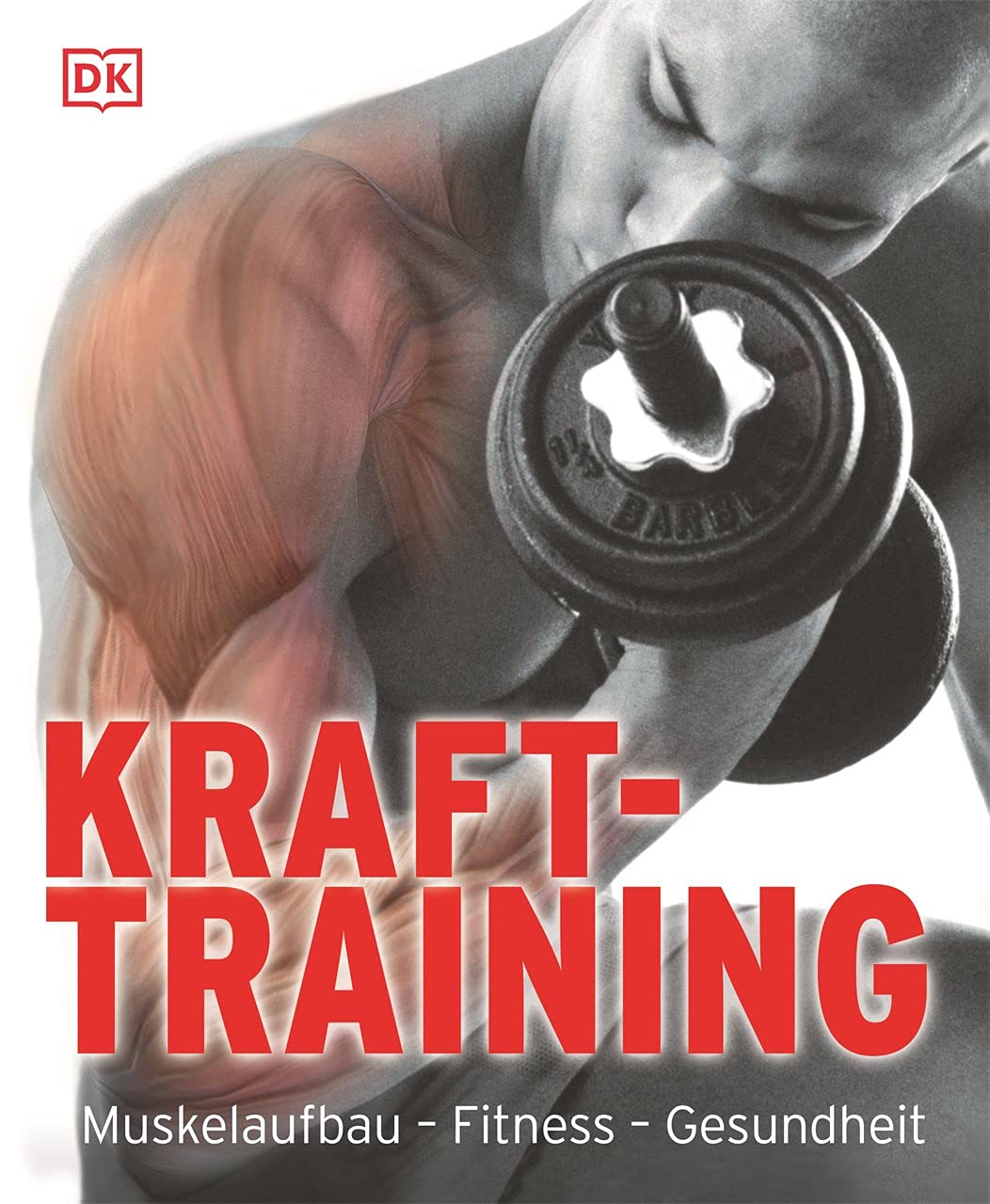 Kraft-Training